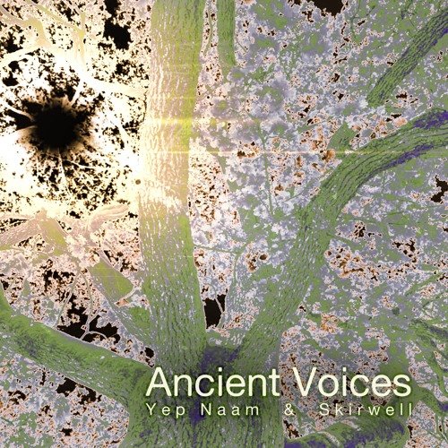 Yep Naam & Skirwell - Ancient Voices (Ritual edit)